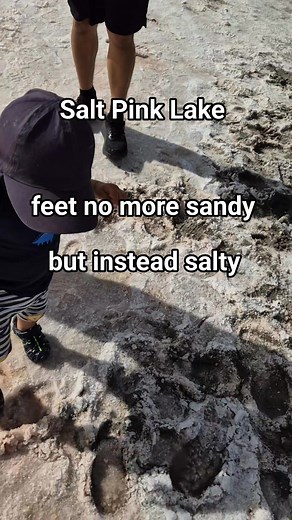The most striking feature is the lake's pink color, which can range from pale blush to a vibrant bubblegum pink. The brightness of the color is influenced by factors like sunlight, season, and salt levels. Pink Lake, near Dimboola, Victoria, is a salt lake that turns pink due to a salt-tolerant alga. Its color intensity varies depending on the season, temperature, and water levels, being most vibrant after rain. It is a popular roadside stop for visitors traveling along the Western Highway. Amaz
