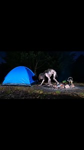 5.9M views · 82K reactions | Creepy humanoid creature roams campsite #creepy #scary #strange #cryptid #reelsfb #viral #viralvideo #reelsfypシ #AI #veo3 Disclaimer: This video is made for entertainment purposes only. This video is purely fictional. | Cryptid Zoos | Facebook