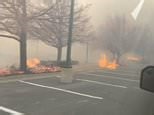 Wildfire spreads through Costco parking lot in Boulder, Colorado