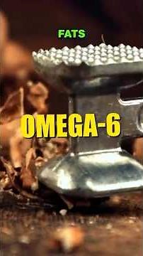 Balancing Omega-6 and Omega-3: The Secret to Living Longer