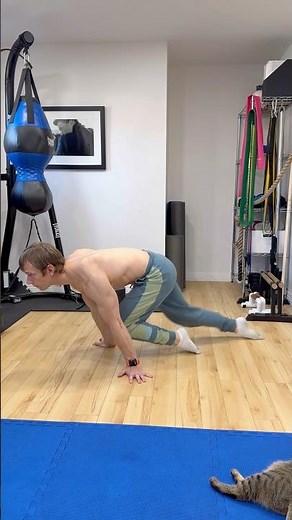 Straight Arm Strength Workout! #getgymnastfit #corestrength #abs #shoulderstrength #planche