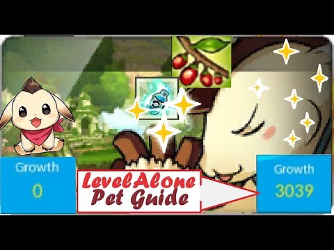 Elsword Pet Guide