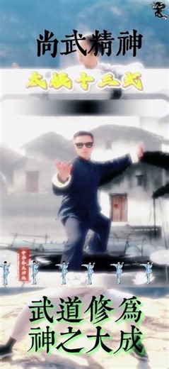 Tai Chi Thirteen Forms太极十三式#martial #dance #tai #jackie #meditation