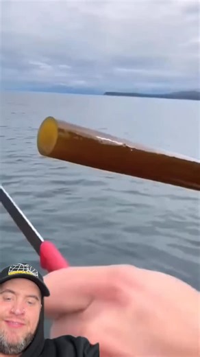 Richard Sales on Instagram: "IM CONVINCED THAT IS SPRING ONION ? #reels #viral #trending #explorepage #instagood"