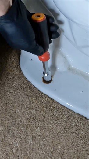 Broken toilet flange and carpet 🤢🚽 Repairing a broken toilet flange here. Customer called about an odor. The wax seal had failed and the reason it failed was the broken toilet flange due to the uneven carpet #diy #asmr #fyp #reels #homerepair #plumbingrepair #foryou #plomero #handyman | The Plumberlorian