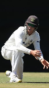 Cameron Bancroft took 29 catches this season, a #SheffieldShield record. Here are all 29 of them. Some serious grabs in here! | cricket.com.au