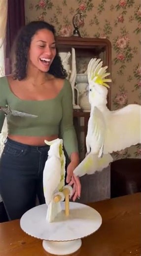 Cockatoo Screams 'MURDER!' When She Cuts Cake Clone 😱🔪🦜 #IsItCake