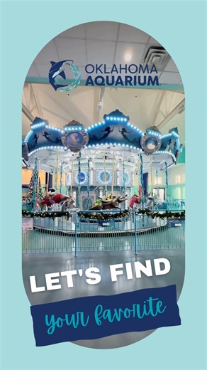 Choose your favorite sea creature and take a spin! 🎠🐟 Carousel rides at OKAQ are $3 for the first ride and $2 for each one after. Come ride today! #okaquarium #oklahomasonlyocean #aquariumlife | Oklahoma Aquarium