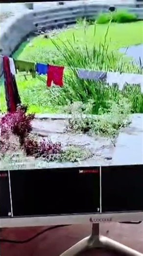 ptz camera Zebronics 5mp