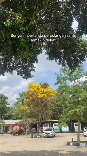 Bunga Ini Pertanda Perpulangan Santri Semakin Dekat