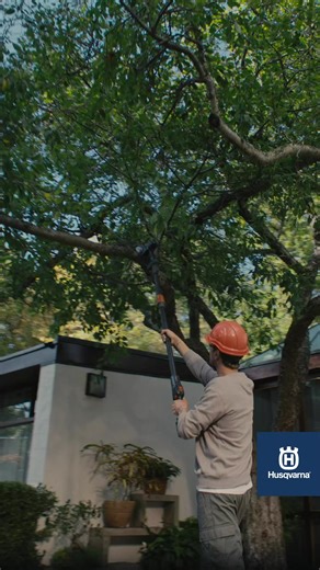 Pruning overhead branches at home doesn't have to mean balancing on a ladder. The Aspire™ Pruner 18V Pole Kit extends to 220cm, making hard-to-reach branches safer to cut from the ground. Smart pruning in your garden: 🌳 Prune during cooler parts of the day to minimise plant stress 🌳 Make clean cuts at a slight angle just above the branch collar 🌳 Remove dead, damaged or crossing branches first 🌳 Step back regularly to check shape and assess your work Weighing just 2.8kg, this lightweight, ho