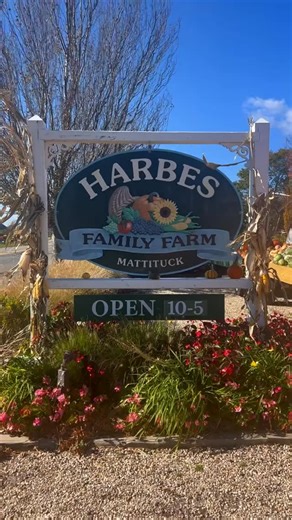 🍂 **Harbes Farmstand is scheduled to be open daily 10-5 in November (weather permitting)!** 🥕 Stop by and discover our plentiful fall produce—crisp apples, Brussels sprouts, squash, and much more. Everything you need to make this autumn delicious. 🍁 #harbesfarm #FallProduce #LocalFarm #FarmFresh #LongIsland #ApplePicking #FarmToTable #SupportLocal #FallHarvest #LongIslandFarming #SeasonalProduce #AutumnVibes #FarmersFavorite #HarbesApples #LocalEats | Harbes Family Farm