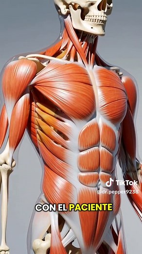 3D Medical Animation for Anatomy Education