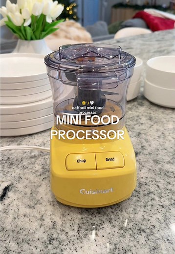 Essential Mini Food Processor for Easy Meal Prep