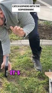 Mastering the GopherHawk Gopher Trap: A Pro Guide