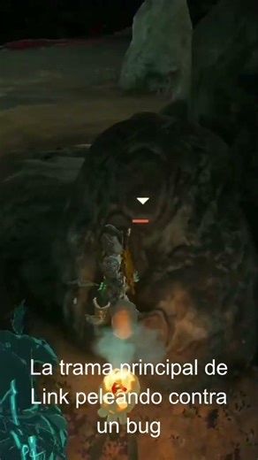 Gomen amanai. #meme #zelda #tearsofthekingdom #breathofthewild #gomenamanai