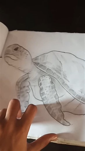How to draw sea turtle 🐢 #shorts