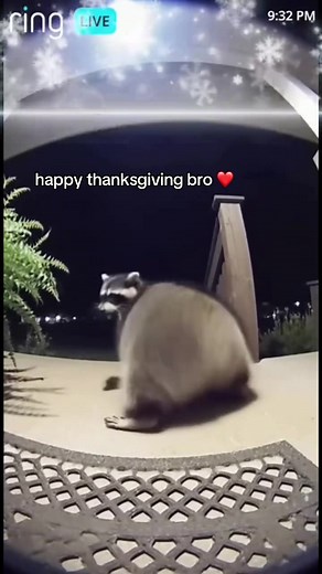Happy Thanksgiving Bro - Share the Joy!