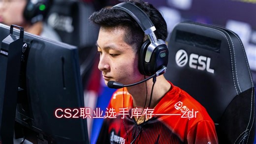 CS2职业选手库存——zdr