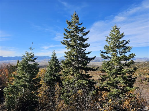 17 Pine Crest Dr, Mount Pleasant, UT 84647 - MLS 2147469 - Coldwell Banker