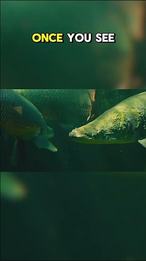 Top Ten Freshwater Species in Danger of Extinction: Why These Stories Matter