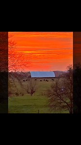 Holistic Management International on Reels | Facebook