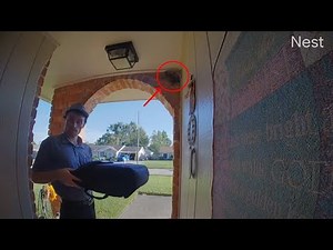 Squirrel launches itself into house