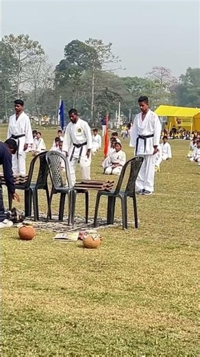 Army Public School karate Demo