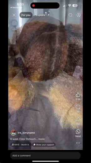 What my client wanted vs what she got!!!! #matrix #colorcustomizer #natualhair #silkpressnaturalhair #hairtok #monetlashaypeppermintoil