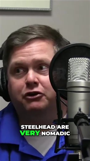 Targeting Steelhead in Lake Erie: Tips from Captain Dean Cushman