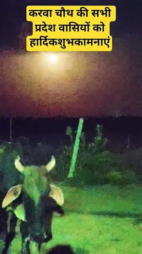 करवा चौथ पर व्रत कैसे खोलते हैं #dance #manraj #indiansinger #song #bakr #dj