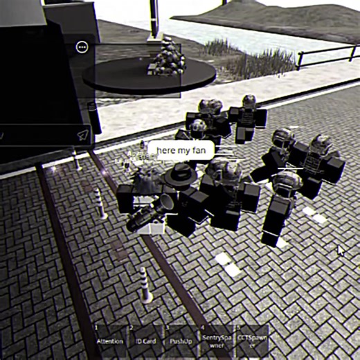 Exploring Trolling in Military Game Roleplay