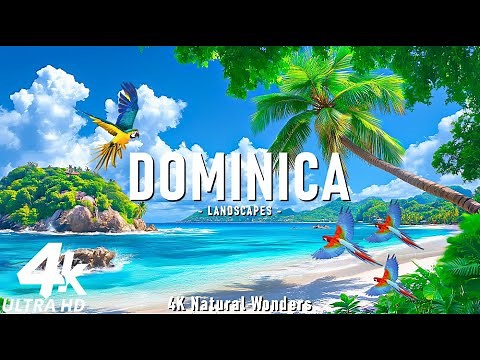Dominica 4K - Exploring the Untamed Rainforests and Pristine Waterfalls of the Nature Island