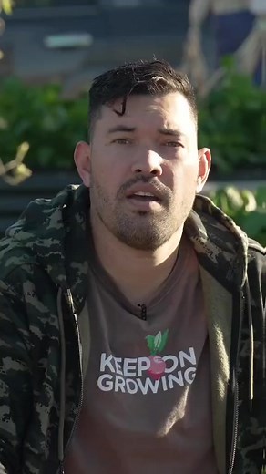 Finally harvested some homegrown saffron! surprisingly easy to grow, but so, so little per flower 😂 #gardens #flowerphotography #gardener #design #instagram #photo #bhfyp #gardenlove #flores #organic #homedecor #picoftheday #travel #architecture #growyourown #plantas #cactus #landscaping #succulents #trees #plantsmakepeoplehappy #dg #growyourownfood #giardino #gardensofinstagram #tree #flowerpower #instagarden #beauty #homegrown | Garden Time Tip