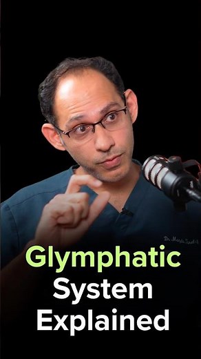 Glymphatic System Explained