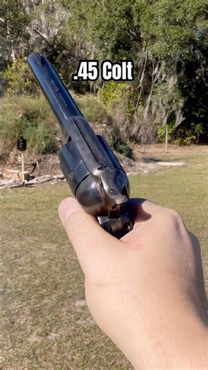 Birdshead Blaster - #45colt #singleactionarmy #singleaction #coltsaa #45caliber #uberti #1873