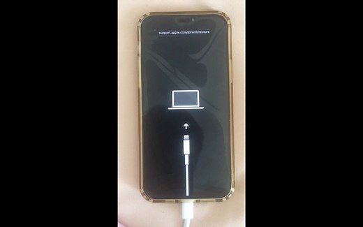 苹果手机没电进入restore模式