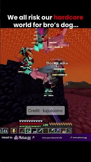 PET IN MINECRAFT