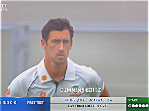 Australia vs India First Test Match 2020/2021: Day 1 Highlights