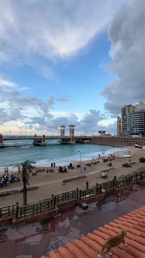 Hesham Abdull Atty on Instagram‎: "وَأَن لَّيْسَ لِلْإِنسَانِ إِلَّا مَا سَعَىٰ ‎﴿٣٩﴾‏ وَأَنَّ سَعْيَهُ سَوْفَ يُرَىٰ ‎﴿٤٠﴾‏ ثُمَّ يُجْزَاهُ الْجَزَاءَ الْأَوْفَىٰ ‎﴿٤١﴾‏(النجم) And that there is not for man except that [good] for which he strives (39) And that his effort is going to be seen - (40) Then he will be recompensed for it with the fullest recompense (41)An-Najm #quran #sunset #sea #winter #alexandria"‎