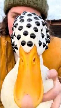 🦆 The 3 Most Beautiful Ducks in the World! #1 Looks Hand-Painted 😍