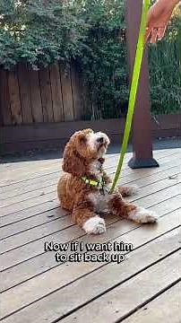 He Needs To Understand This Isn't Optional (Papa's Intro Training Session Part 3/3)