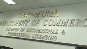 State to review professional licensing requirements