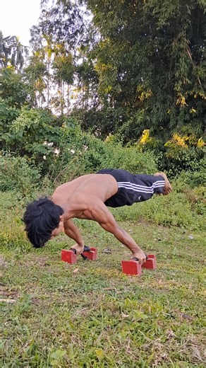 My Planche Hold vs My Expectations 😂