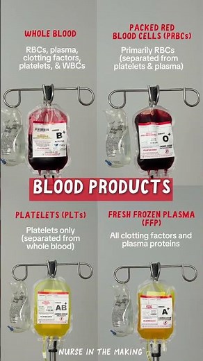 Blood Products Explained 🩸