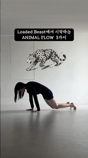 전신 운동 애니멀 플로우 Animal Flow