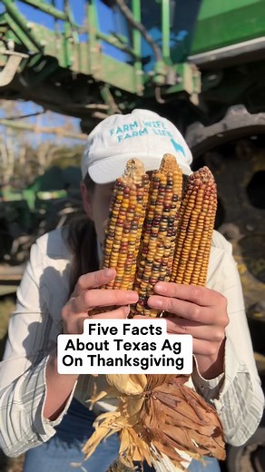 Thanksgiving Agriculture Facts! #agriculture #thanksgiving #farmwifefarmlife #cattle | Nikki - The Farm Wife The Farm Life