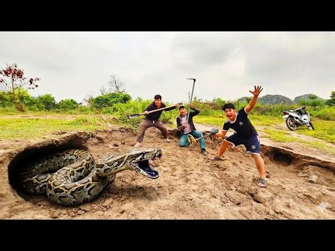 Two Brave Soldiers Confront a Giant Golden Python