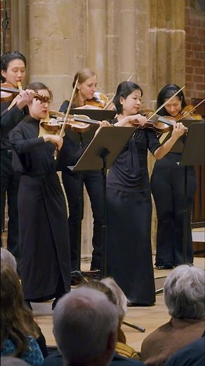 Telemann's PLAYFUL music! 🎵❤️ #music #baroque #telemann #violin #concert