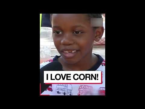 I Really Like Corn | Mmm Corn | Compilations Or Die Tik Tok Meme #shorts 🌽🤤